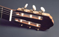 The Anny headstock
